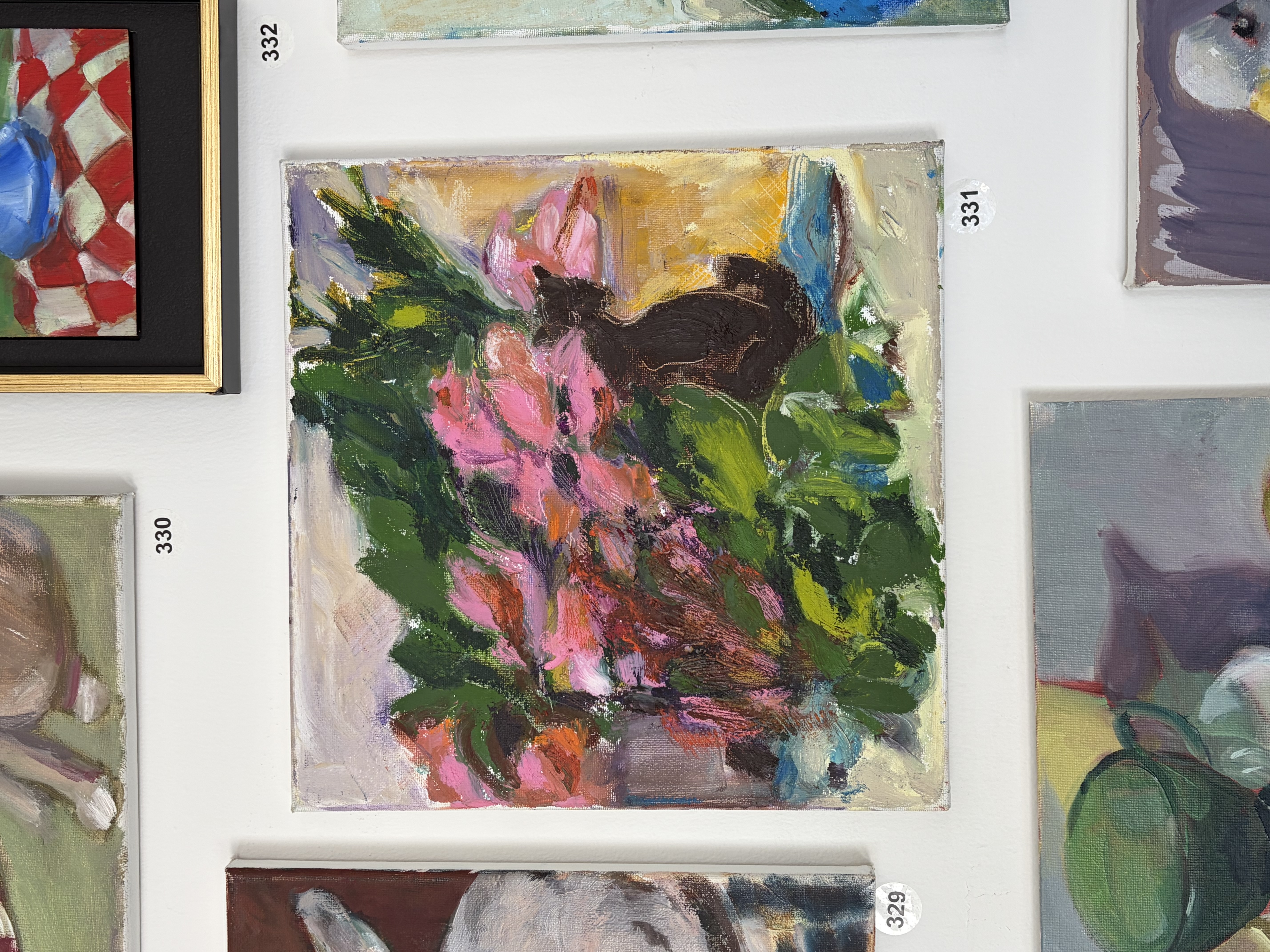 gladiola and cat