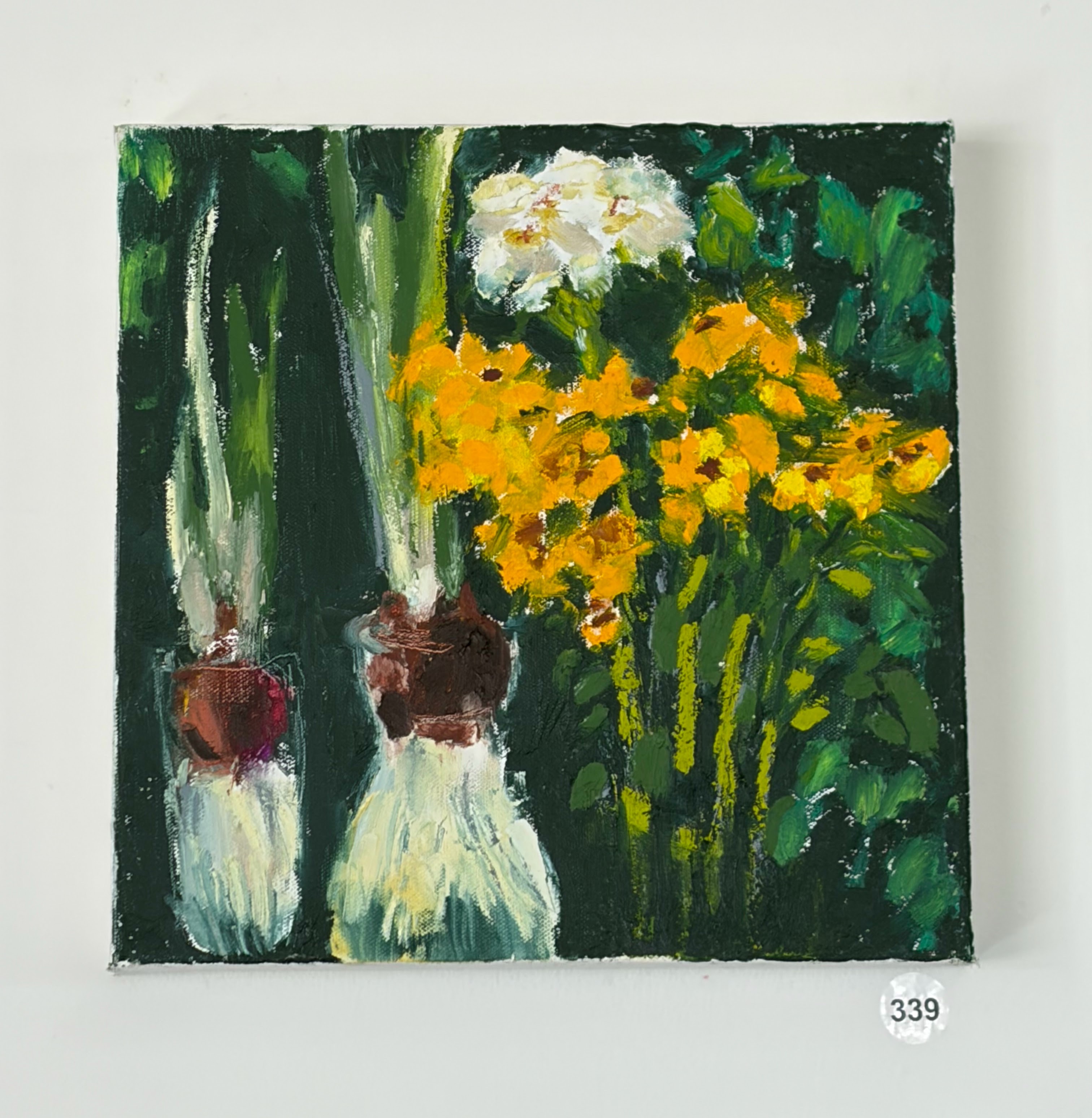narcissus bulbs
