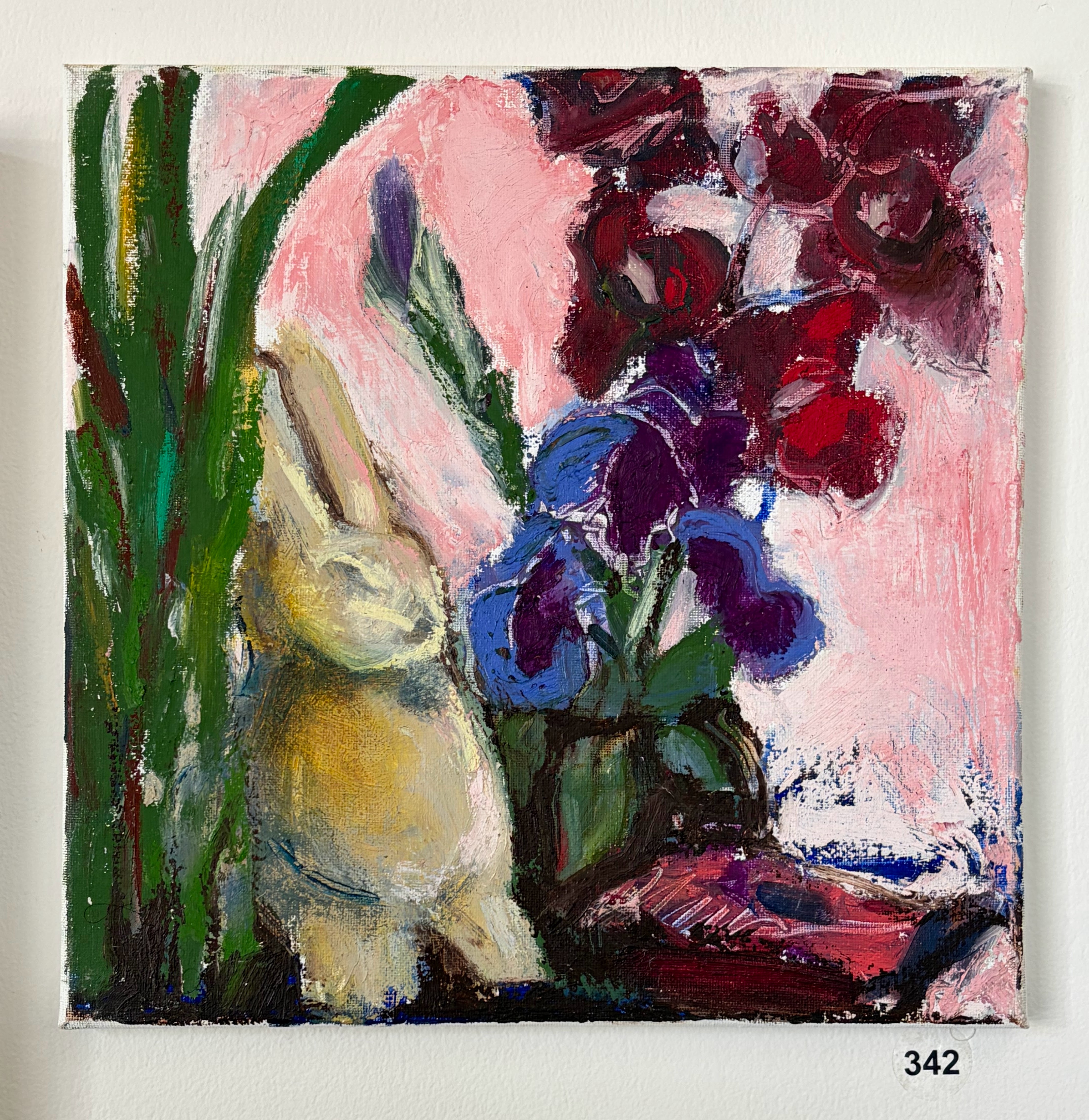 concrete rabbit iris