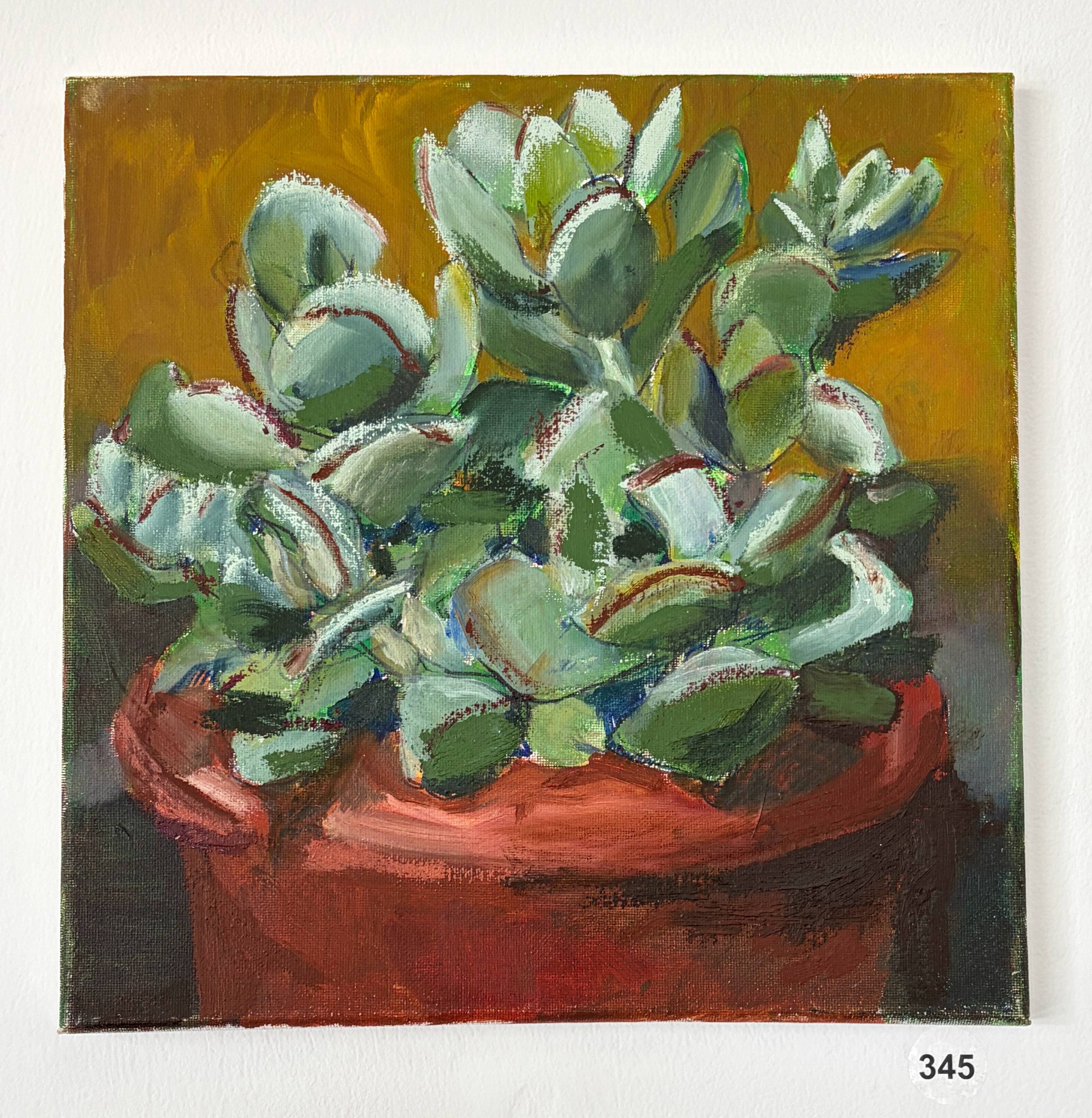 more succulents