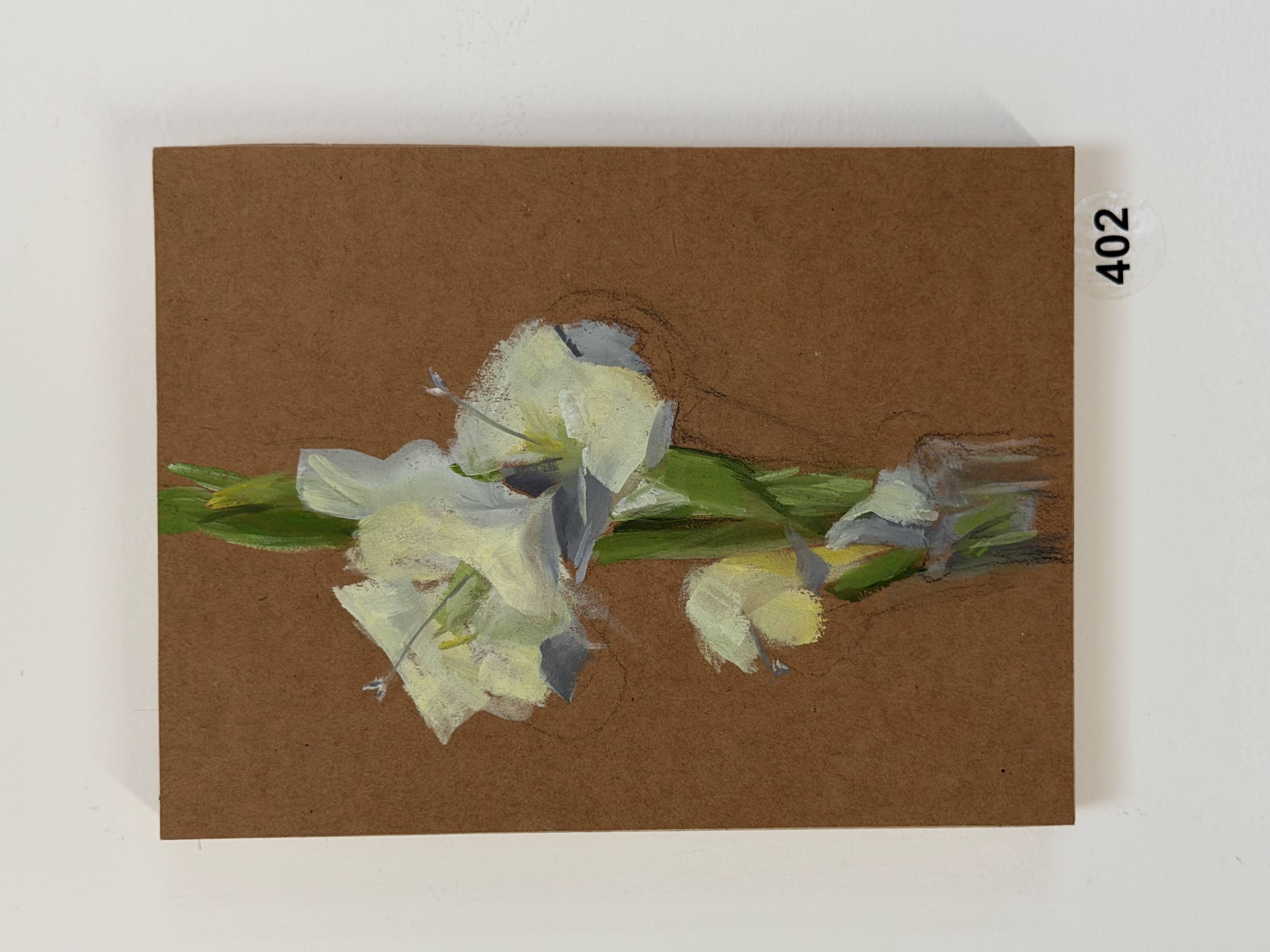 white gladiola