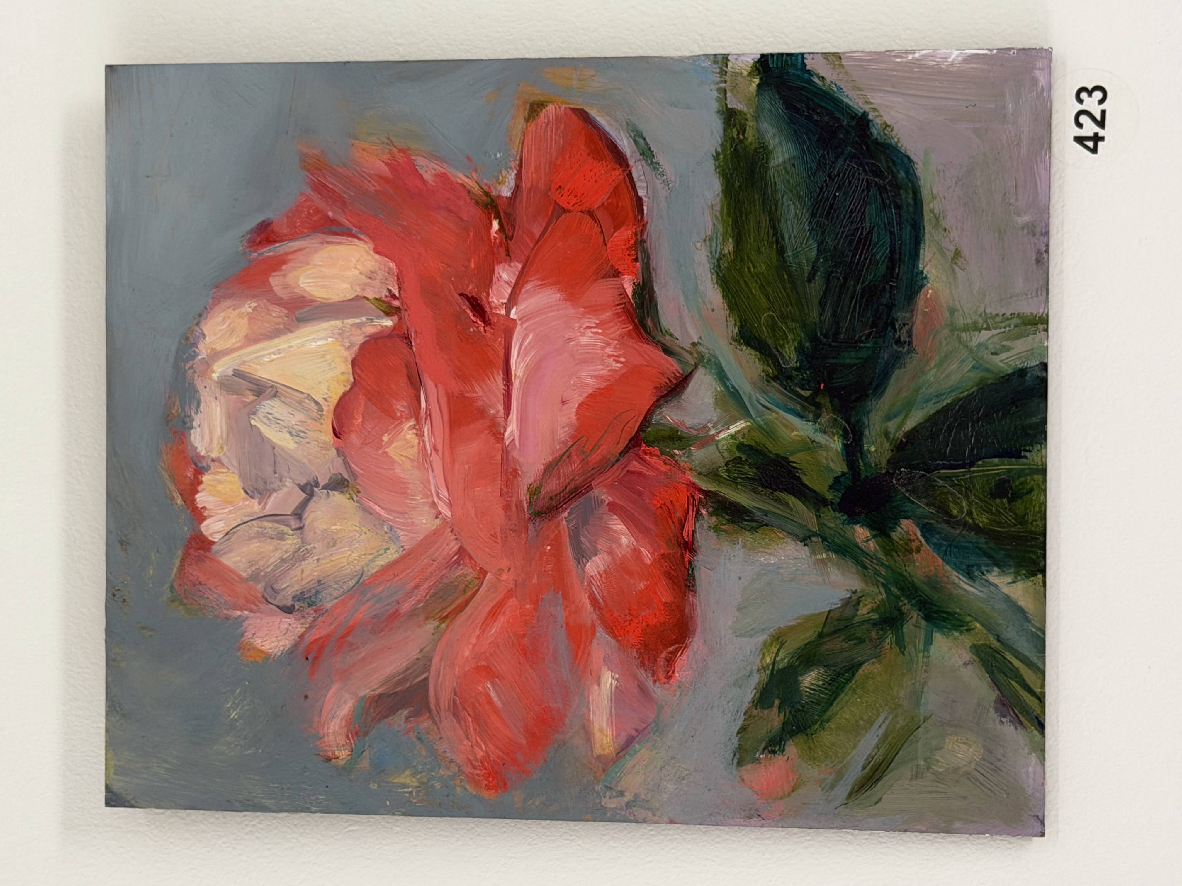 coral big rose