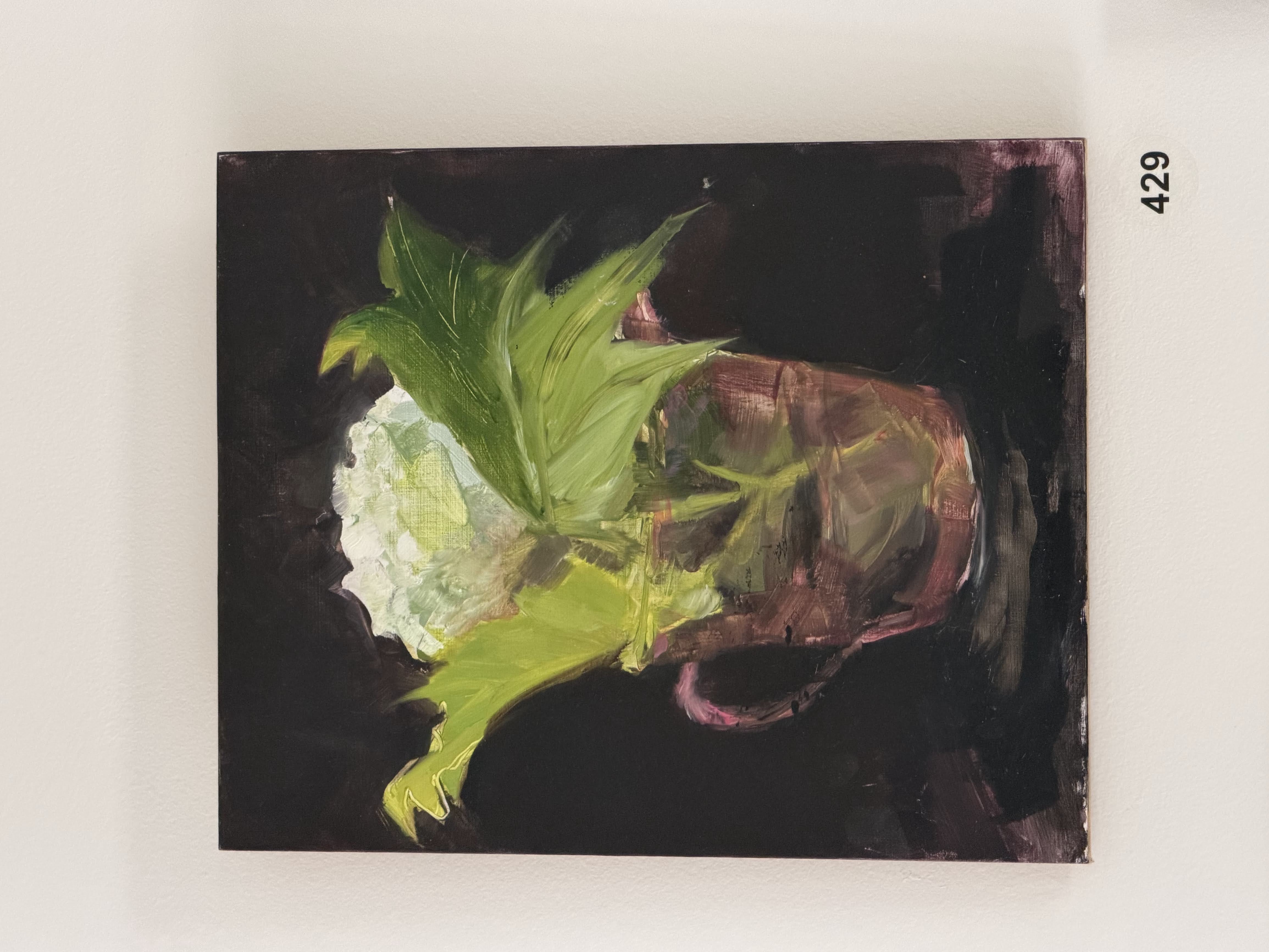 white hydrangea pink vase