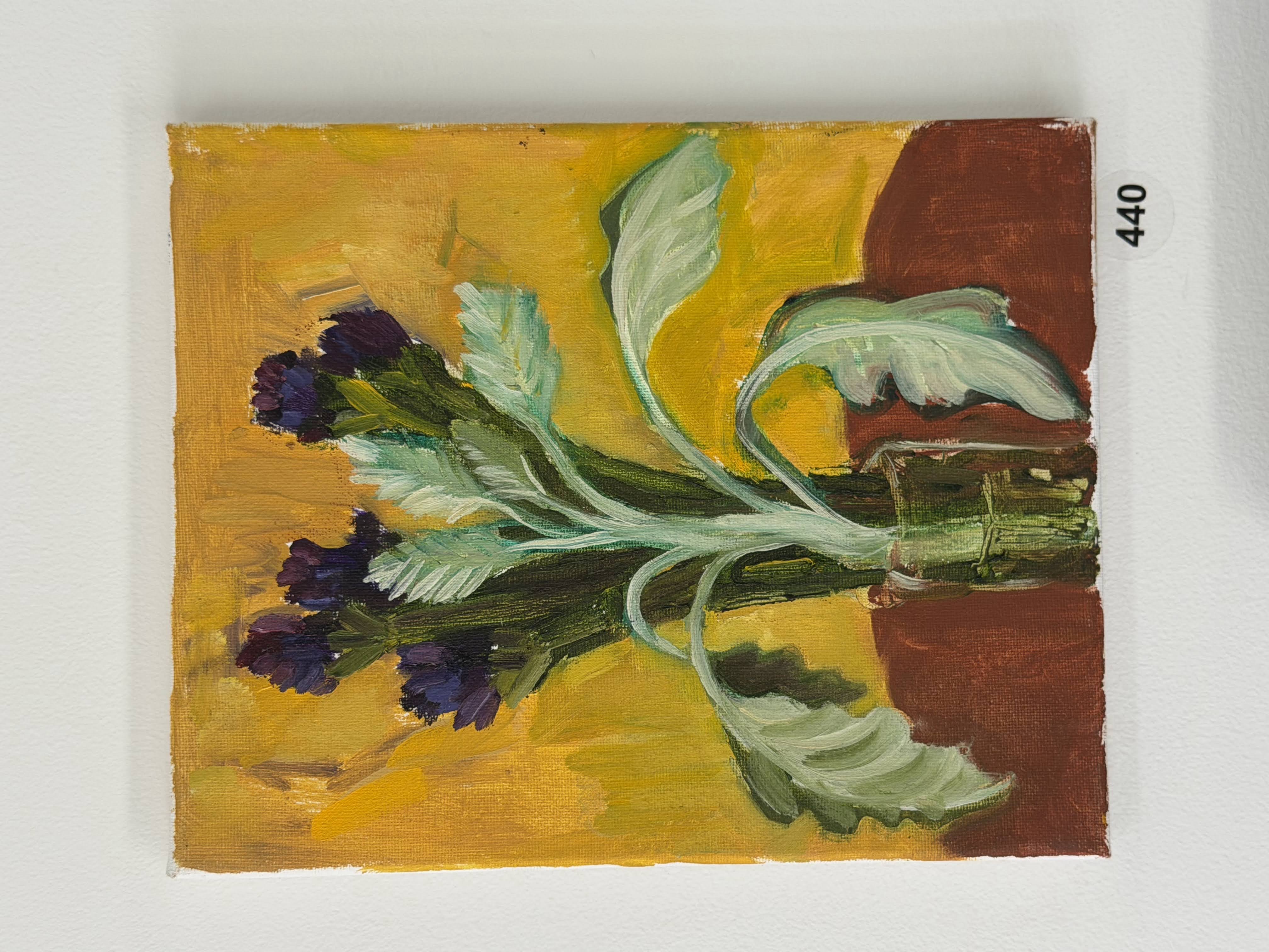 dusty miller