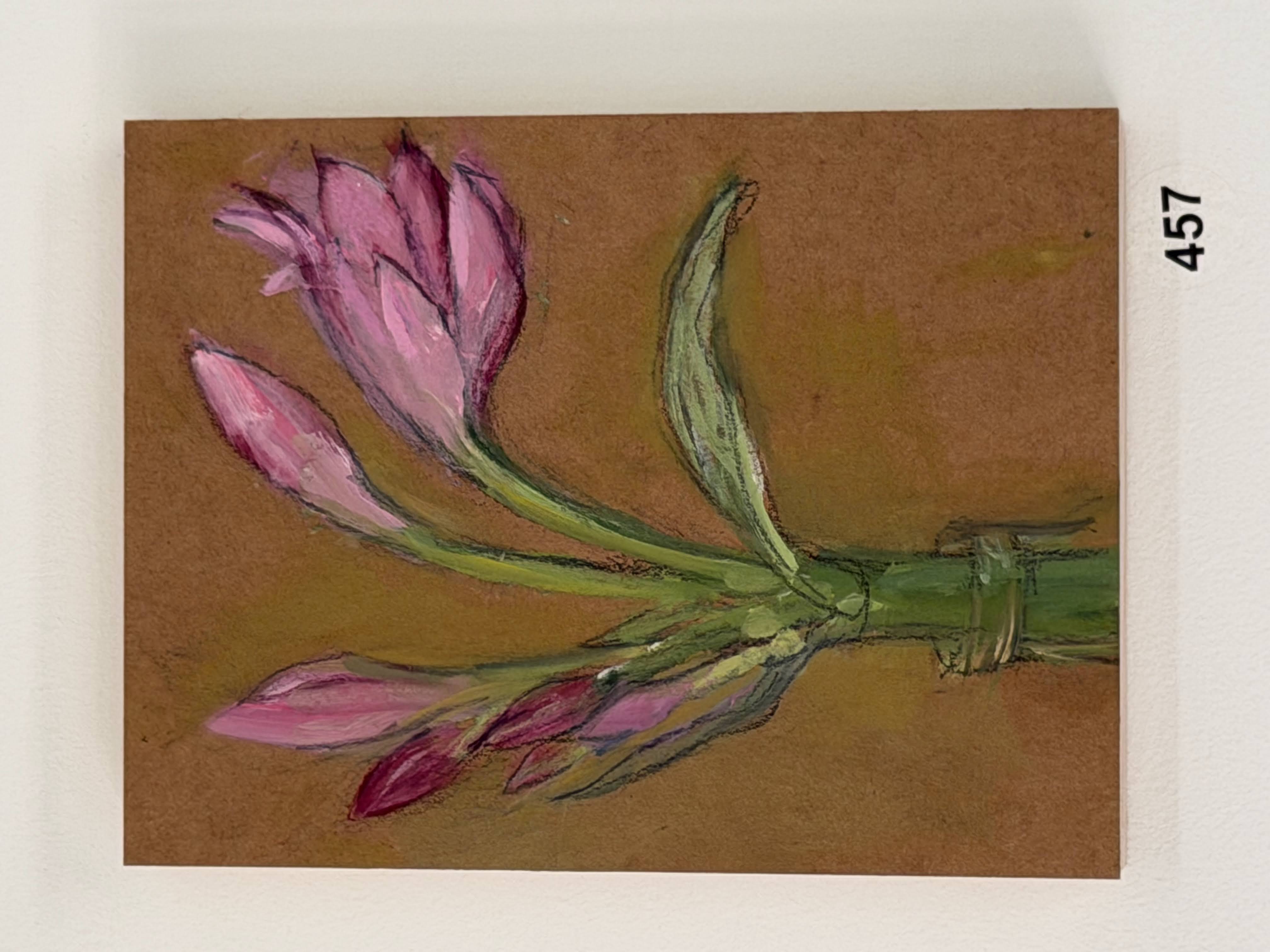 naked lady lily on carton