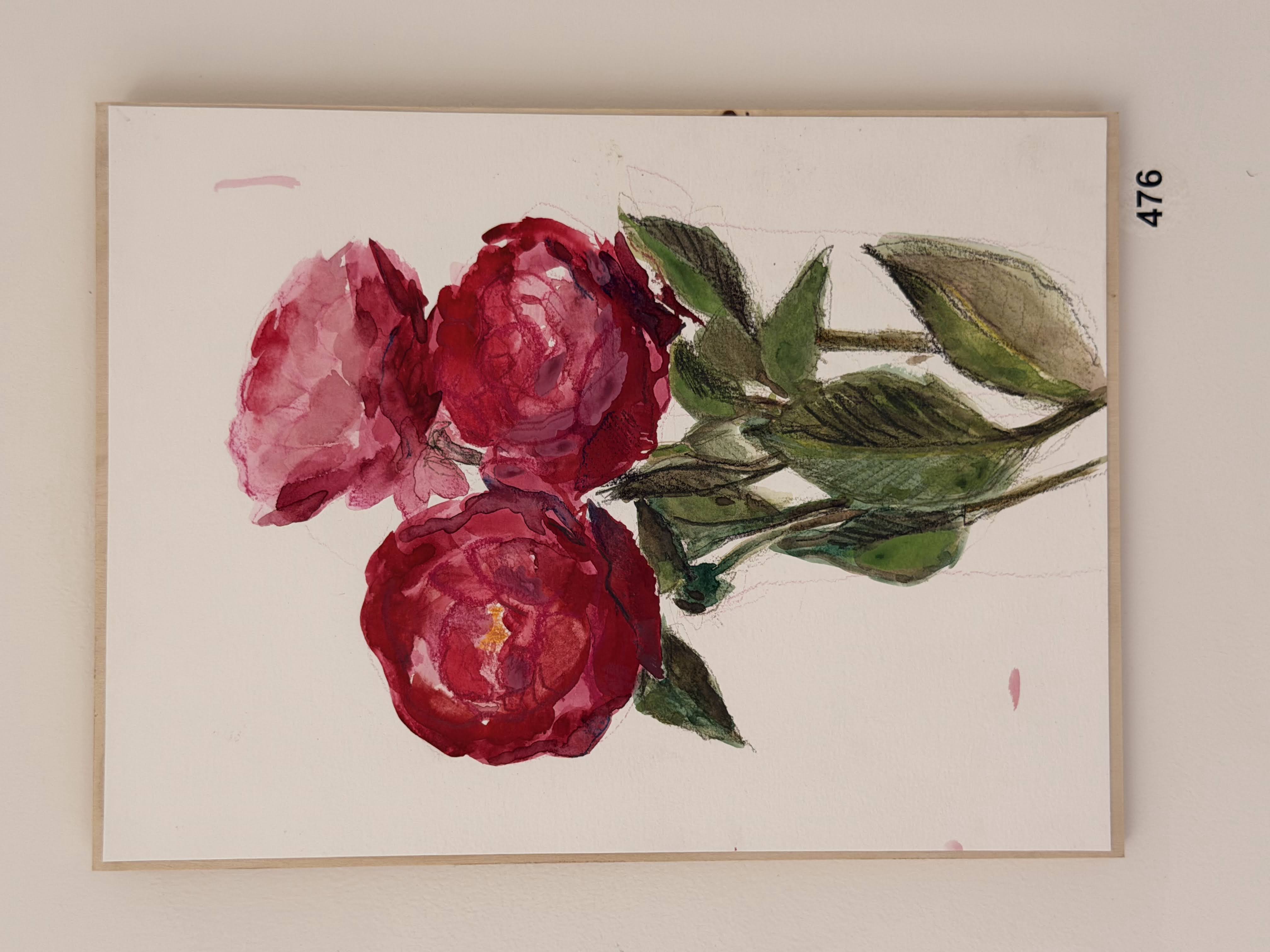 fuchsia watercolor