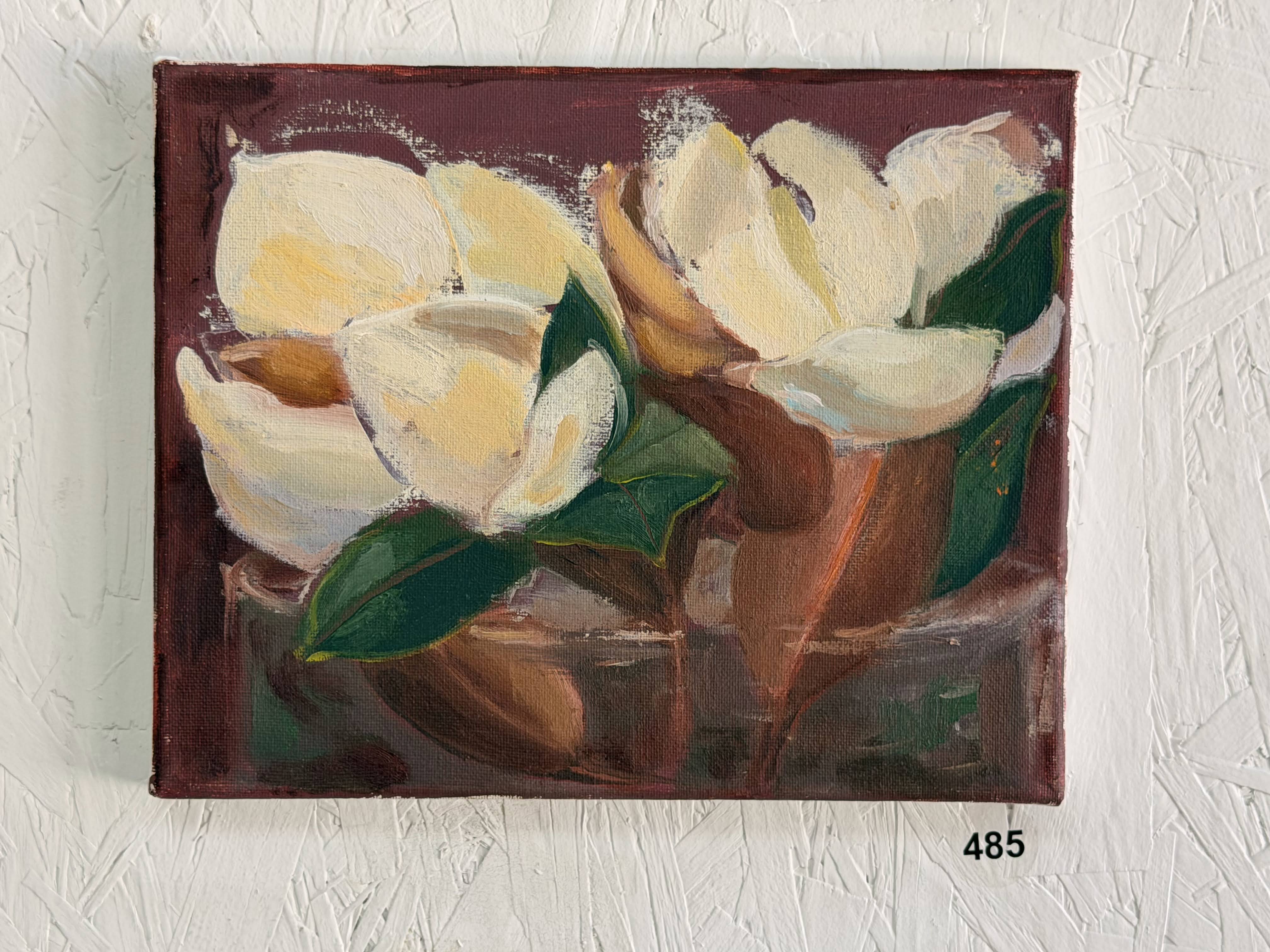 brown magnolia