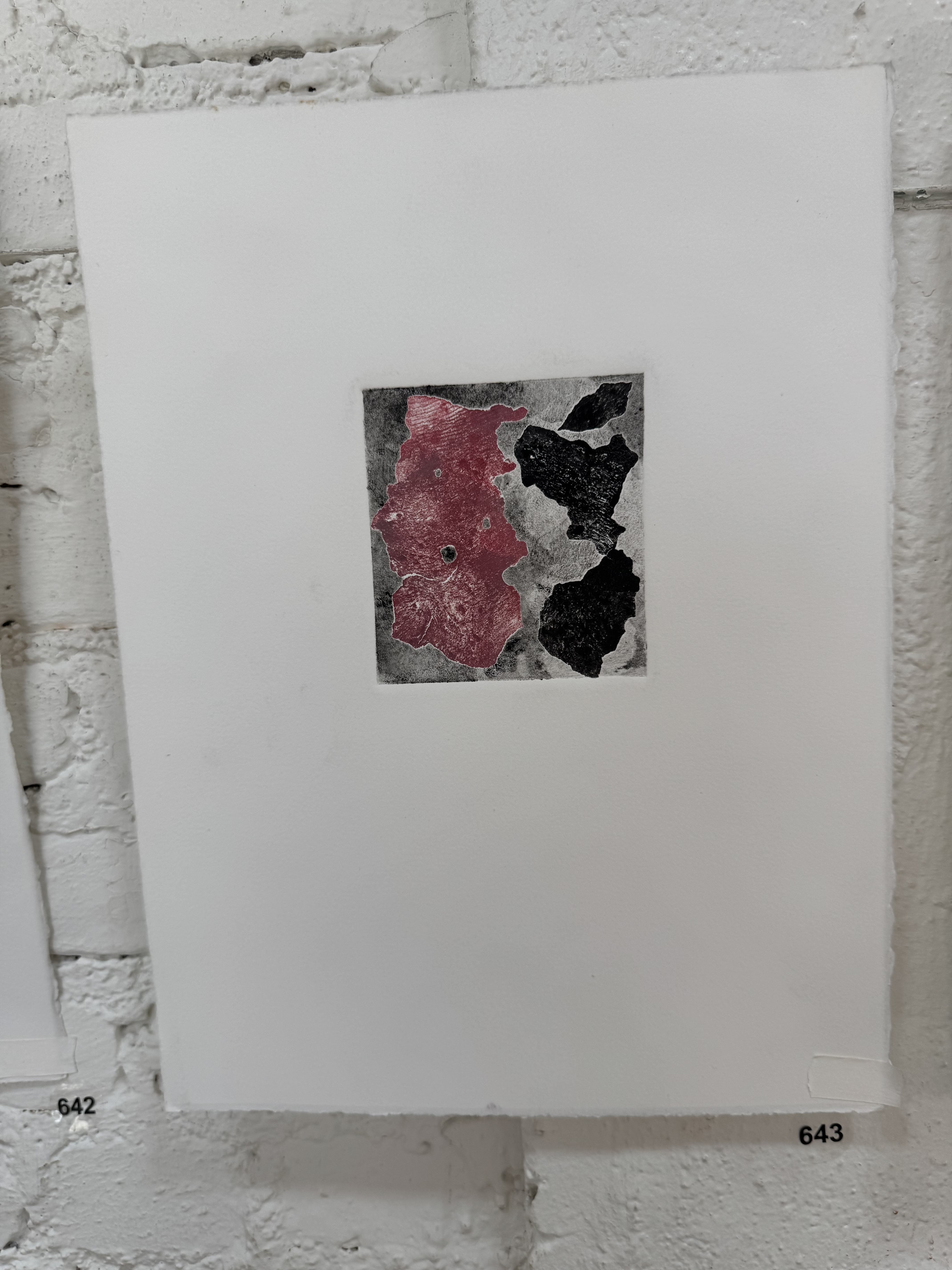 bark pink