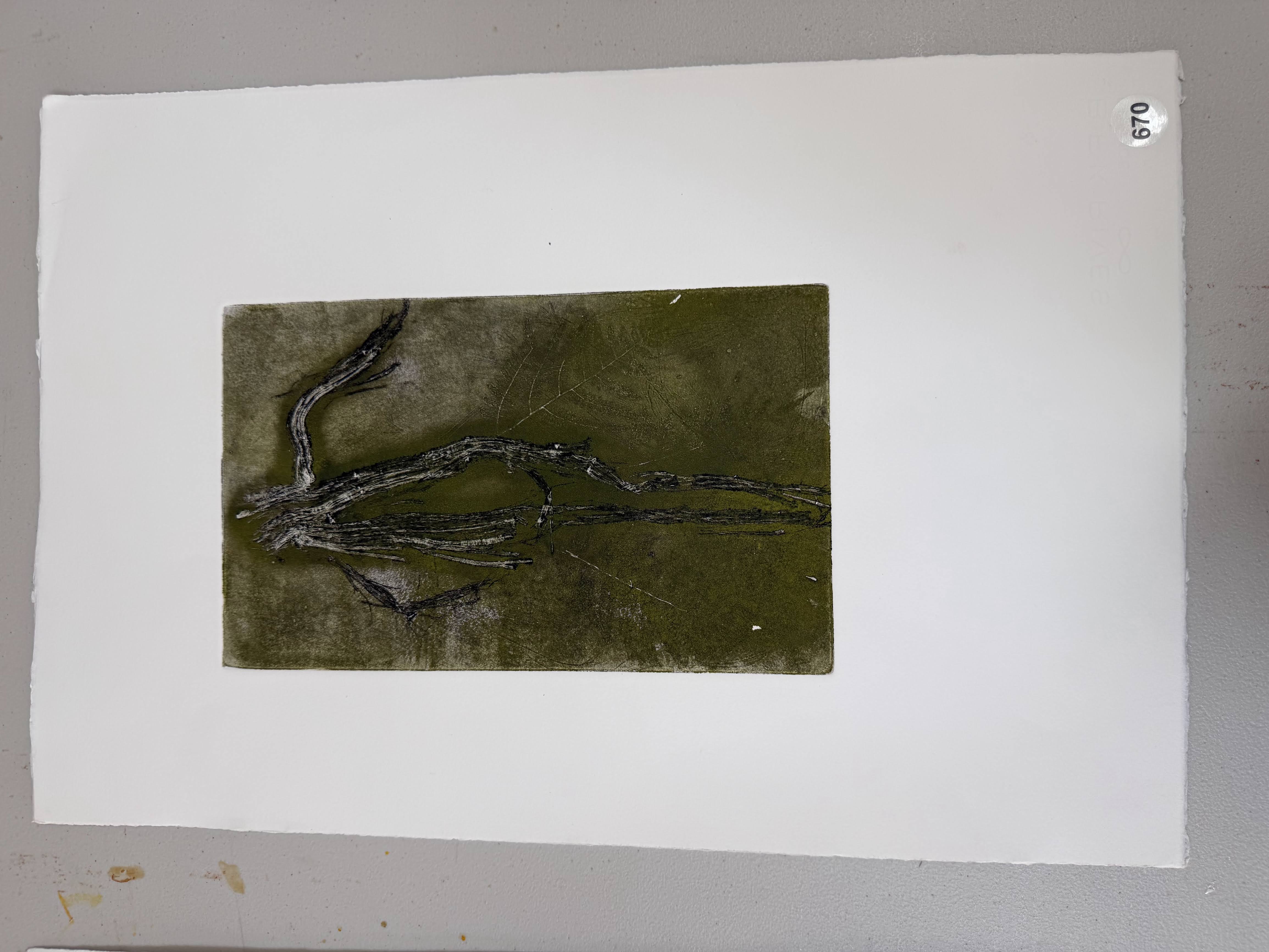 green root