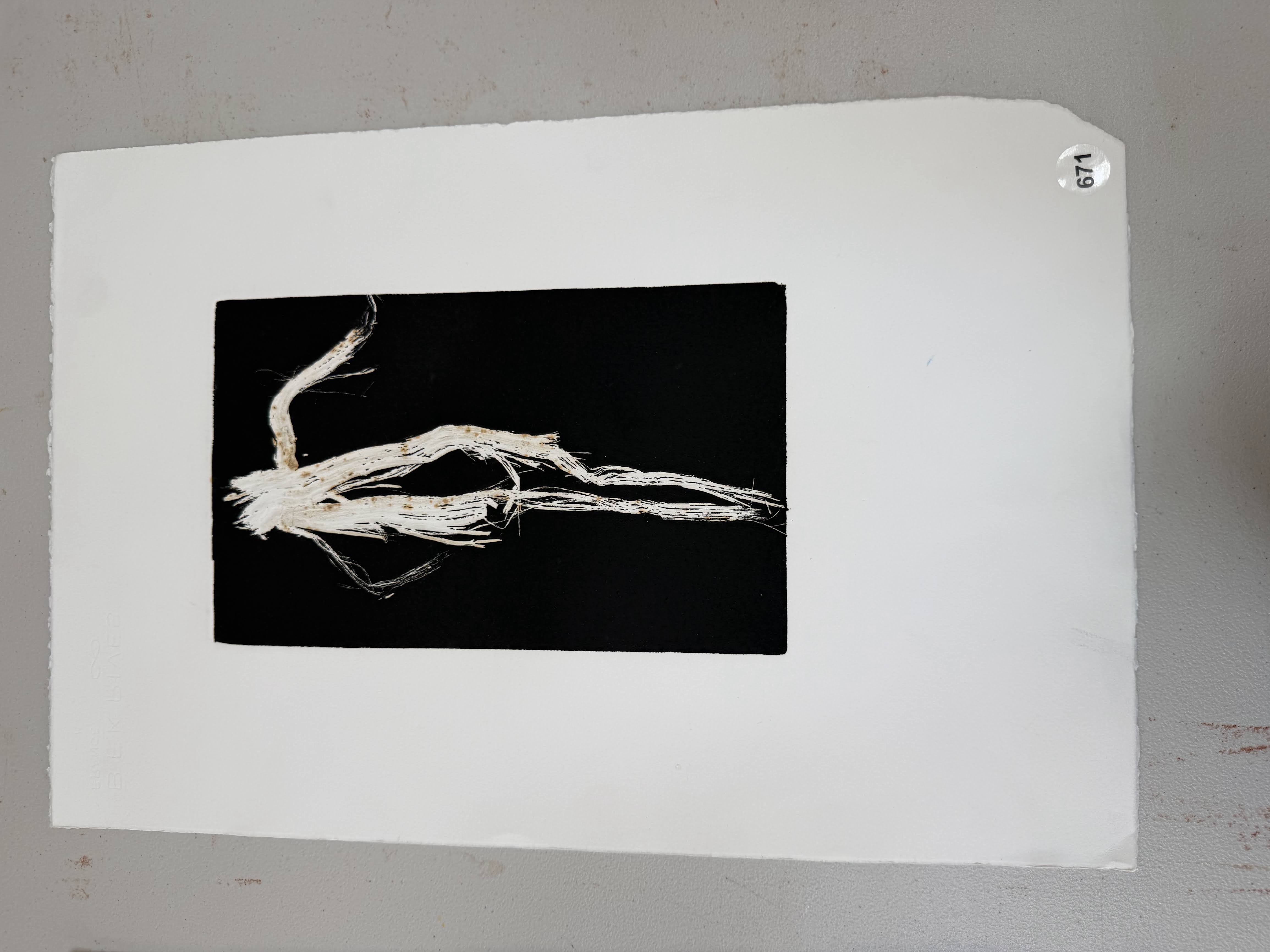 original root