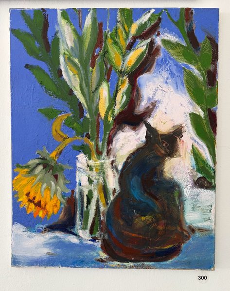 cat sunflower