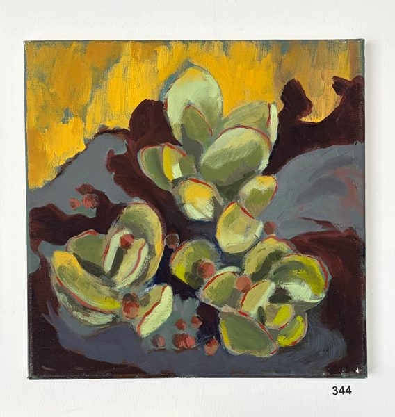 succulent