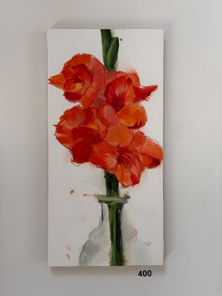 coral gladiola