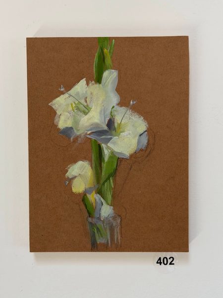 white gladiola