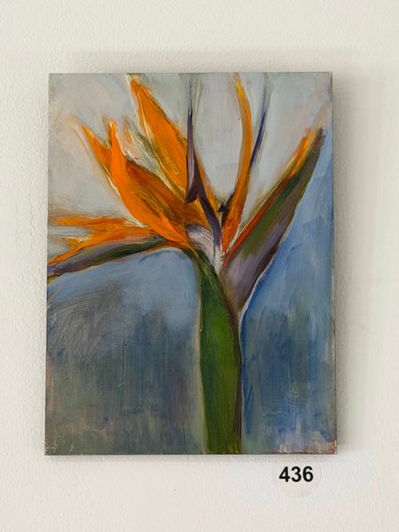 small bird of paradise