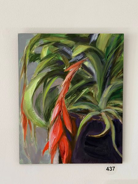 potted plant Hawaii