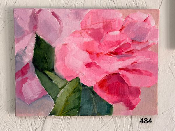 abstract pink rose