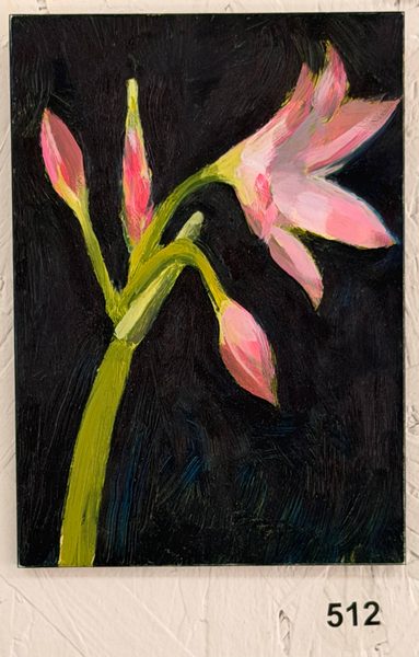 day lily dark
