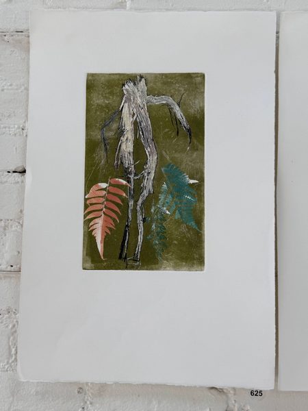 root ferns colors