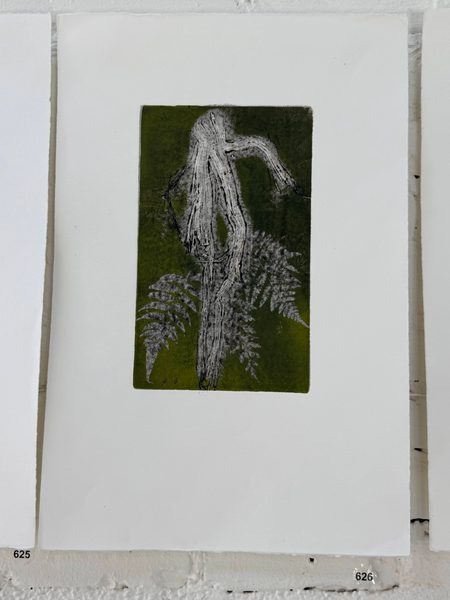 green grey root