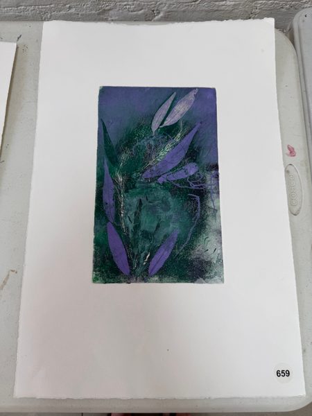 purple red eucalyptus