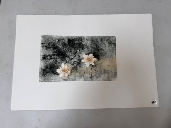 two strawberry flowers