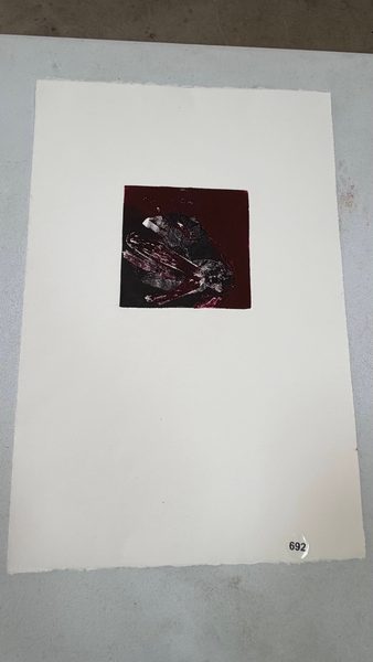 dark bug